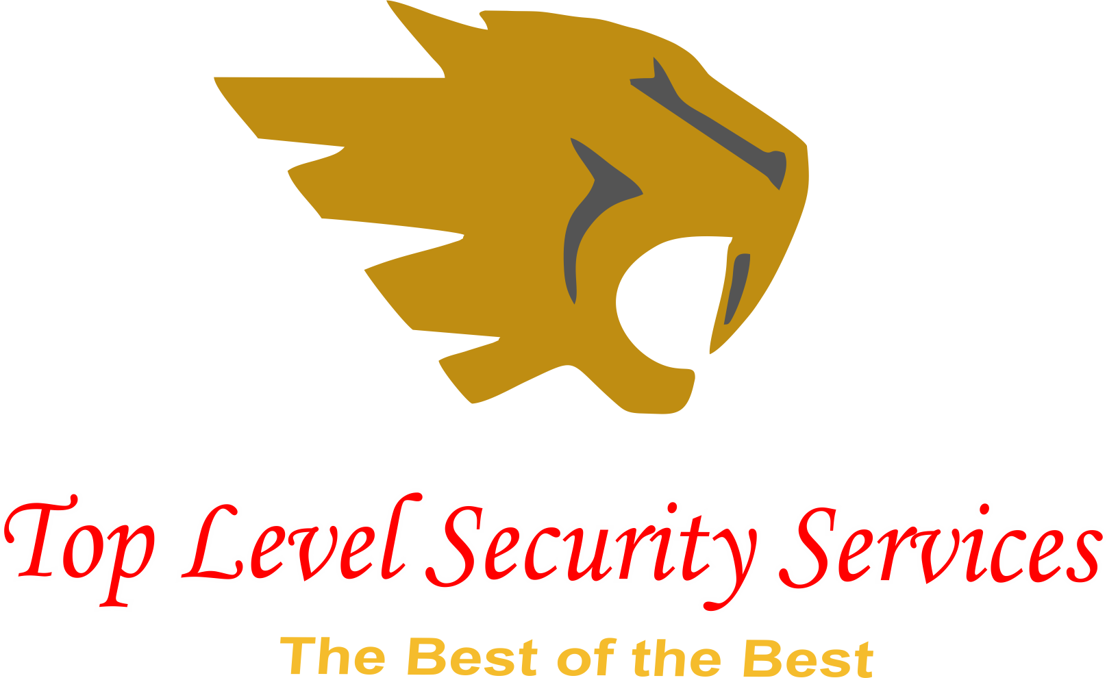 Top Level Security